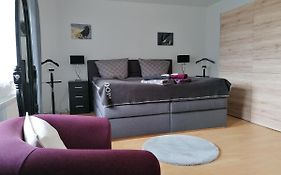 Haus Seewald - 2x Boxspringbett&Parkplatz&Waldsicht